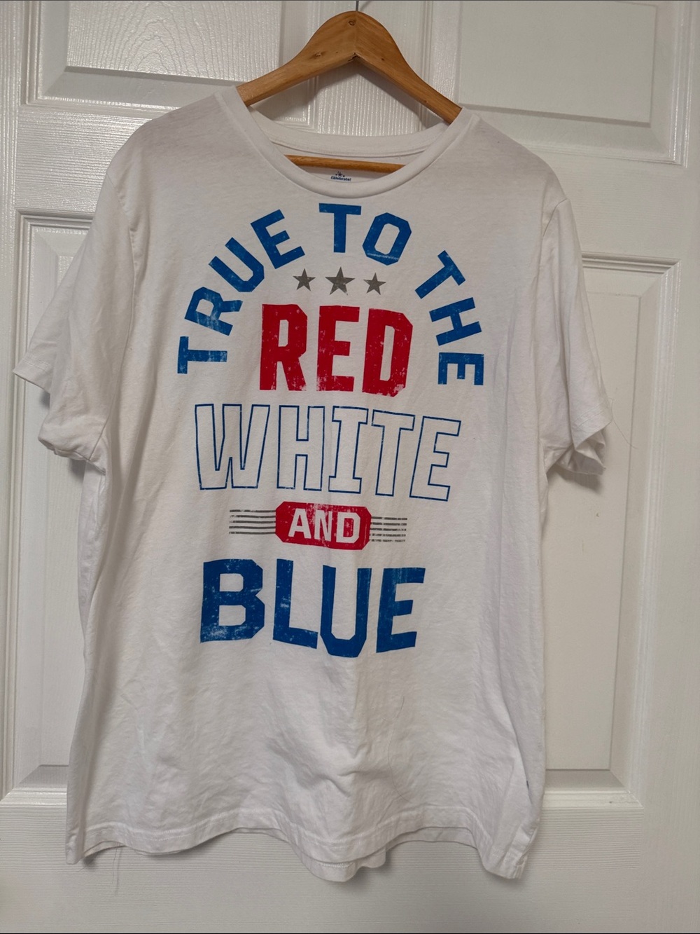 True to the Red White and Blue Short Sleeve Graphic Tee - White